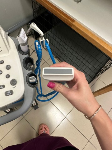 УЗИ аппарат Sonoscape S20 Pro, 2017 г.в. - 700 700 руб.